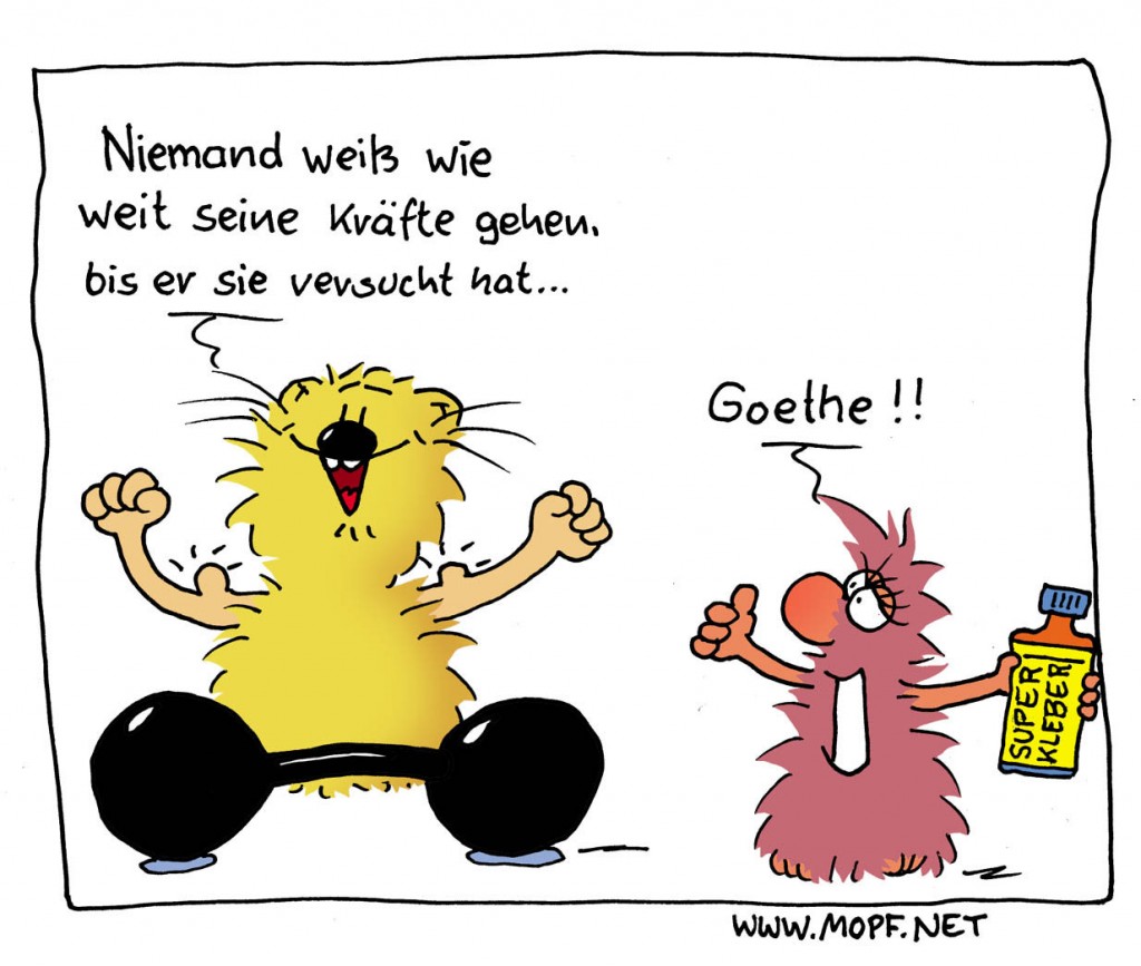 Kraft Mopfder Blog